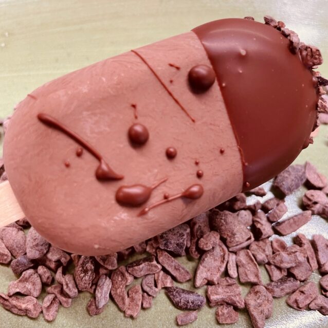 Vegan Intense Chocolate - ice cream bar